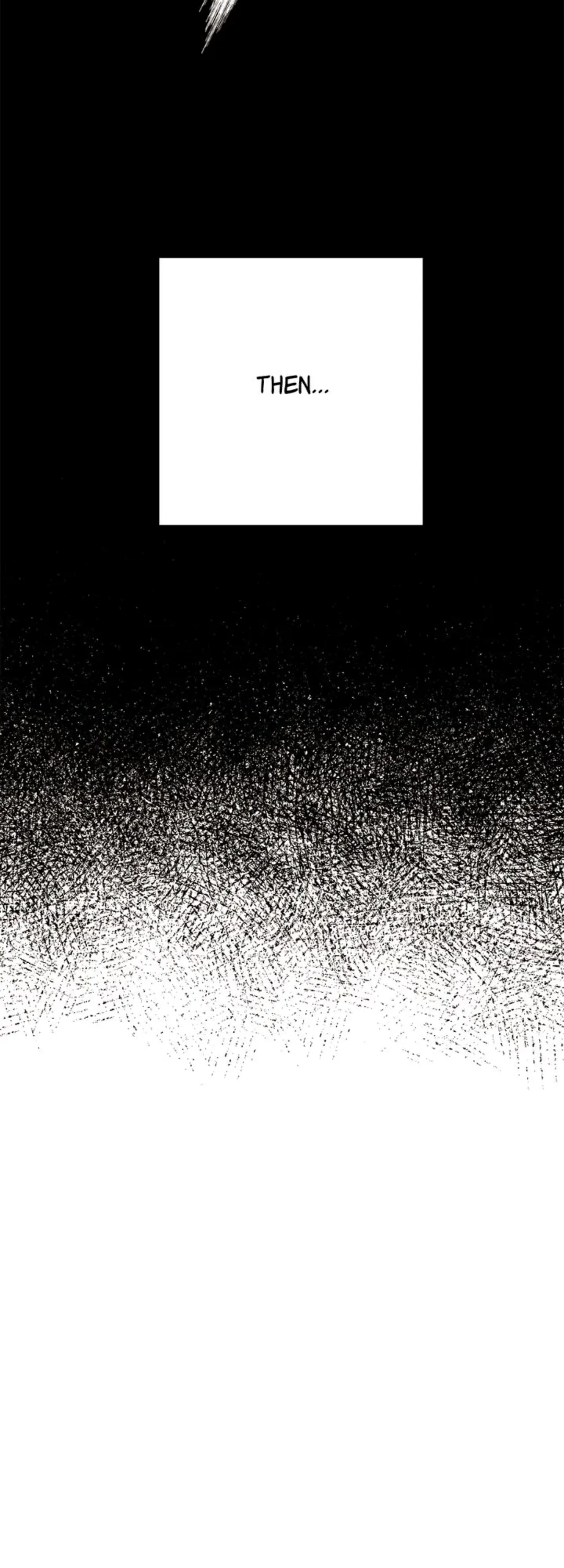 7980932 1080 3000 195812